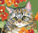 (image for) Garden Tabby Big Stitch